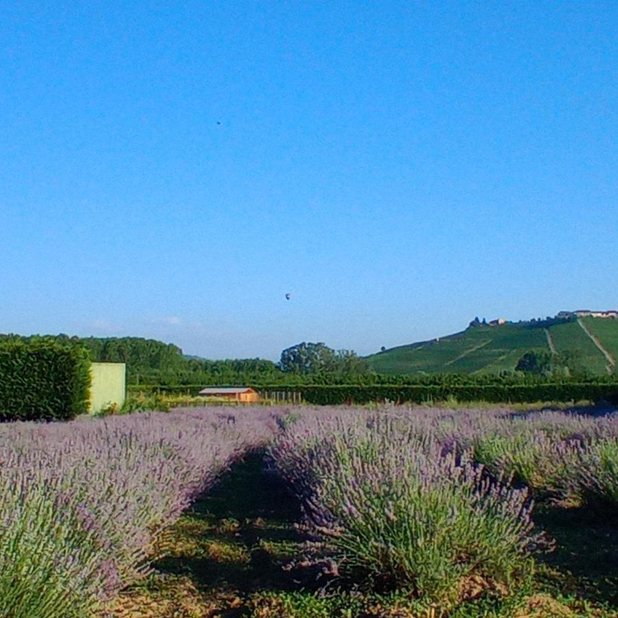 La Cascina Di Carlotta 1846 Agriturismo Alba  Zewnętrze zdjęcie