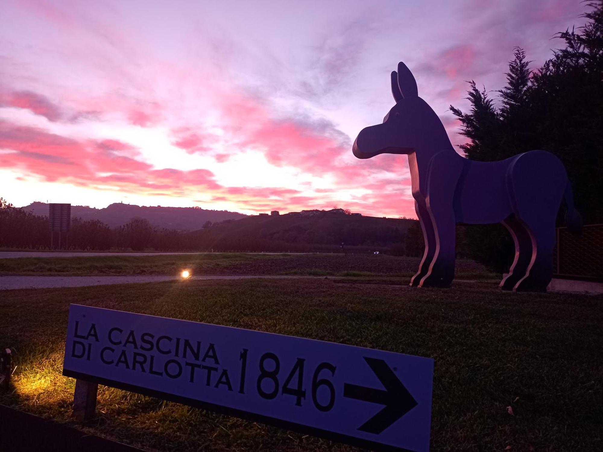 La Cascina Di Carlotta 1846 Agriturismo Alba  Zewnętrze zdjęcie